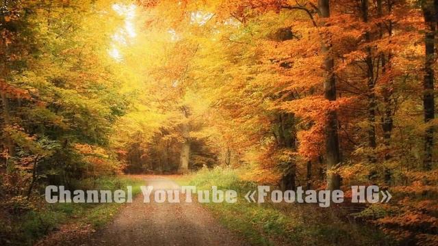 Umbrella-1 (22) Transition ProShow Producer (Example / Sample) смотреть онлайн