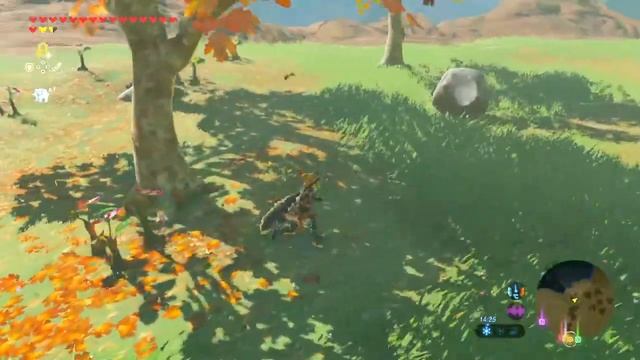 Корок и цветы. Гайд по The Legend of Zelda: Breath of the Wild #38 смотреть онлайн