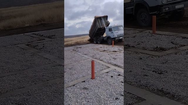 Ракушечник