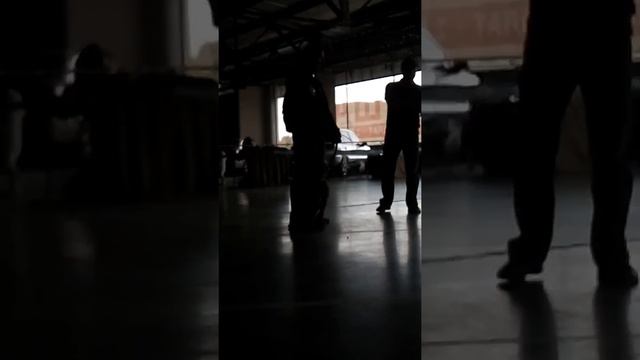 питбуль терьер смотреть онлайн
