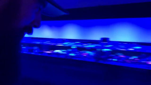 The Reef Shoppe смотреть онлайн
