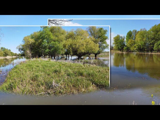 ПРОДОЛЖЕНИЕ ВЕСЕННЕЙ РЫБАЛКИ 2023, ВТОРОЙ ВЫЕЗД, ДЕЛЬТА ВОЛГИ