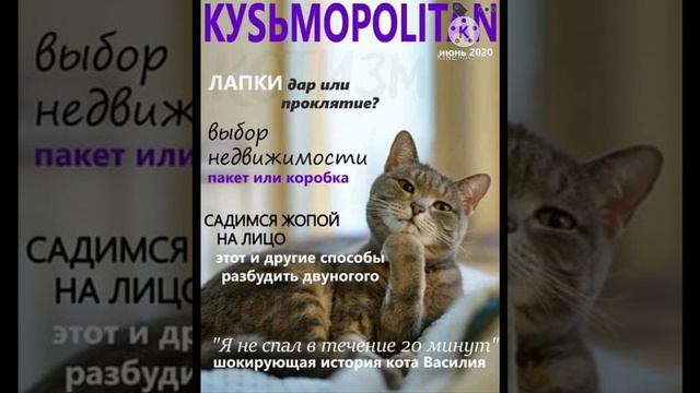 Обращение. Пример записи разговора с коллекторами смотреть онлайн