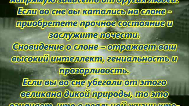 К чему снится слон смотреть онлайн