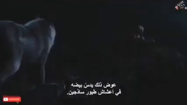 Mowgli, the jungle boy who raises among animals, subtitled in high quality, 2020 films, thriller смотреть онлайн