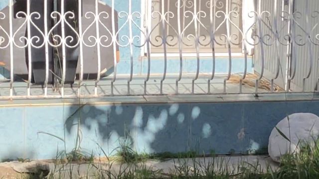 Квартиру в Турции опасно покупать ,если она на первом этаже! называю 5 причин ! смотреть онлайн