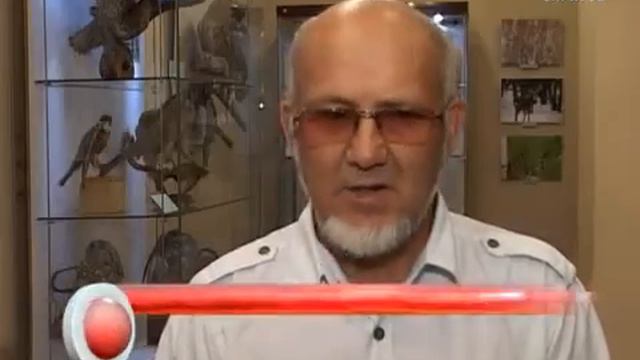 Выставка чучел