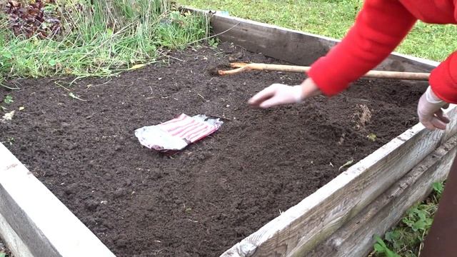 Лук Суворова/Посев под зиму/Татьянин день смотреть онлайн