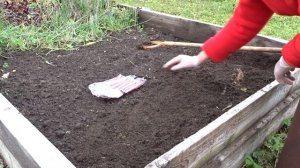 Лук Суворова/Посев под зиму/Татьянин день