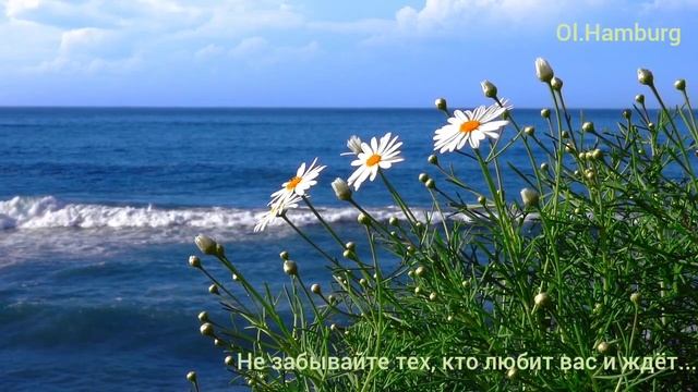 Не забывайте тех, кто любит вас и ждёт... /Слова Русавуки - христианская группа/. смотреть онлайн