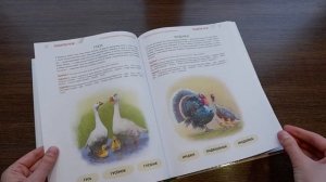 Обзор годового курса Е. Янушко.