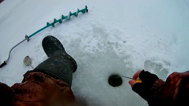 ОКУНИ КАБАНЫ НЕ ПРОЛАЗЯТ В ЛУНКУ!!! ЗИМНЯЯ РЫБАЛКА КРУПНЫЙ ОКУНЬ ЗИМОЙ!!! смотреть онлайн