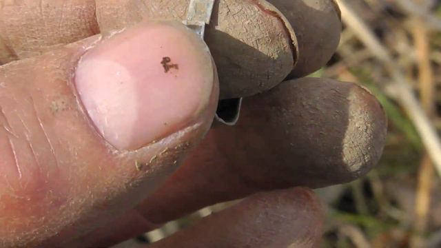 Тут жили люди смотреть онлайн