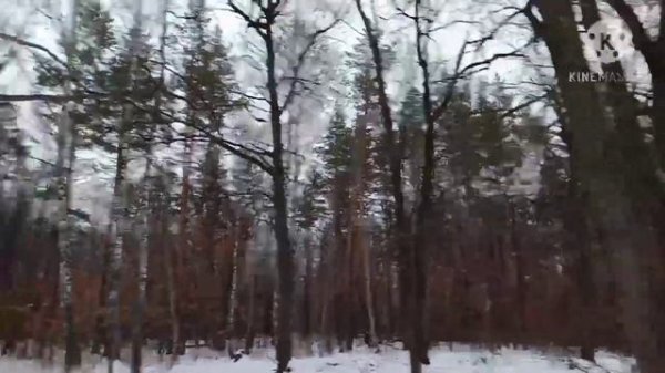 2-Qism QISh SONATASI