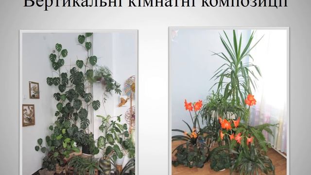 Використання квіткових рослин в інтер'єрі приміщень смотреть онлайн