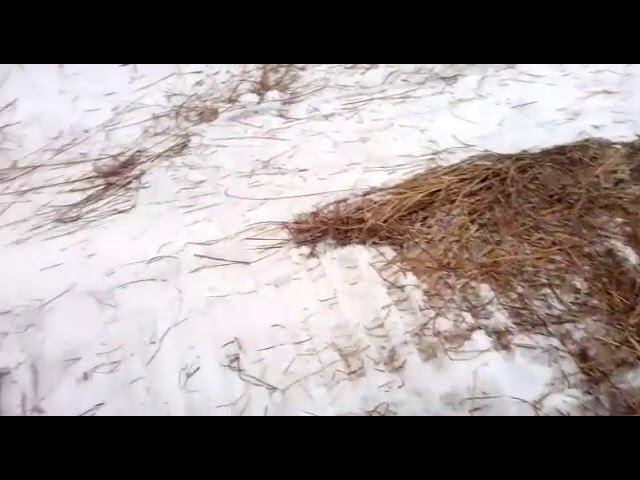 Снегоуплотнитель тром смотреть онлайн