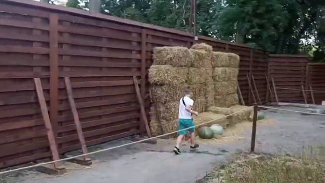 Жу-жу парк / Днепр / парк насекомых смотреть онлайн