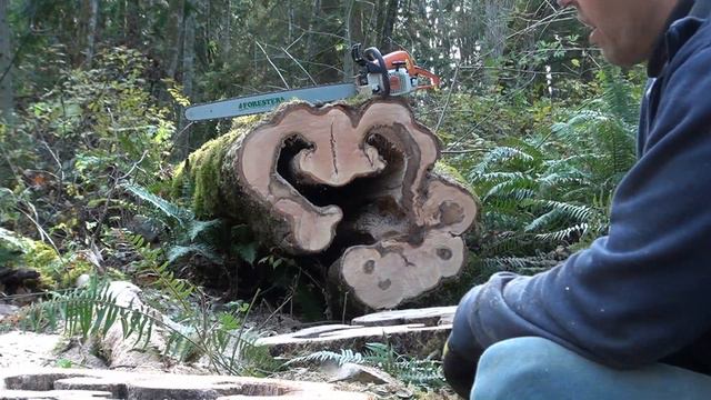 Woodworking, Cookie Cutting. Резка клёна на срезы смотреть онлайн