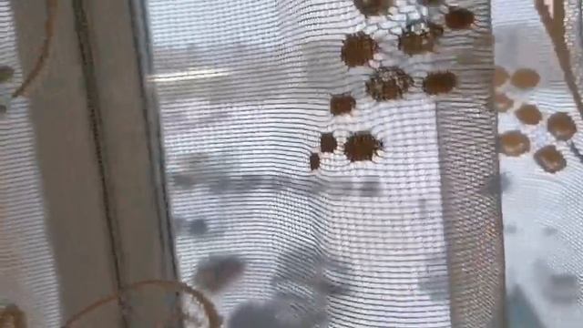 Влог/Жизнь многодетной мамы/Уборка/Готовлю/ смотреть онлайн