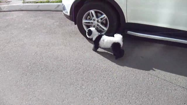 Собака панда смотреть онлайн