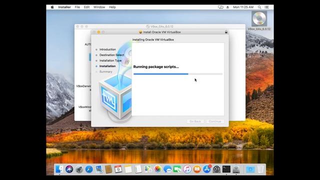 HighSierra10.13 VirtualBox and Installing Guest Additions смотреть онлайн