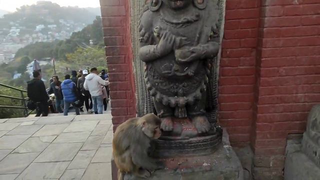 Nepal⛩️ХРАМ ОБЕЗЬЯН 🙉Ступа Боднатх в Катманду 🙏. ОЧИСТЕЛА КАРМУ🙈 смотреть онлайн
