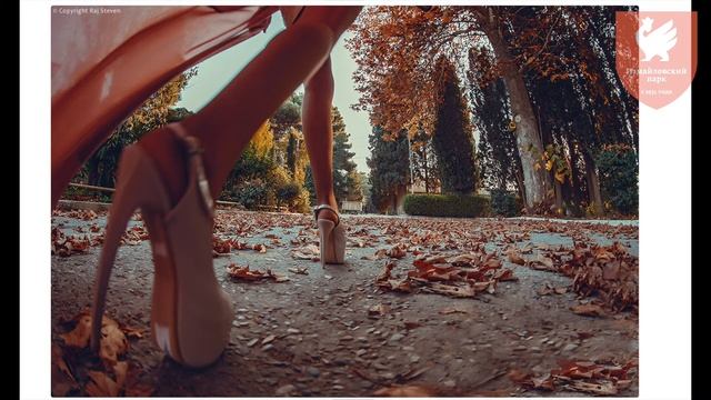 Онлайн-курс "Фотография как искусство": фотографы арабских стран смотреть онлайн