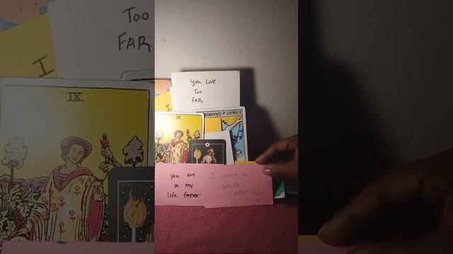 #all zodiac signs : Who loves you and what wanna say??? (timestamp in description) смотреть онлайн