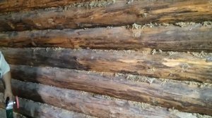 Шлифуем баню. Облагораживаем стены сруба бани изнутри.