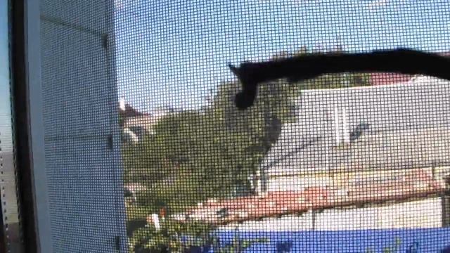 ОРХИДЕЯ В ВАШЕМ ДОМЕ ЛИСТЬЯ ВЯНУТ ЧТО ДЕЛАТЬ vselennaya uvlesheniy смотреть онлайн