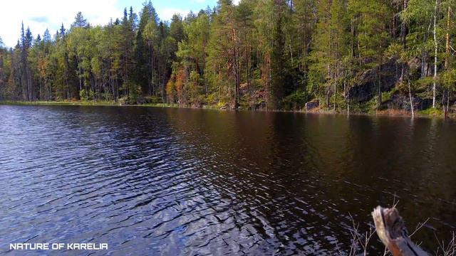 Northern Karelia. A lake on a sunny day / Северная Карелия. Озеро в солнечный день смотреть онлайн