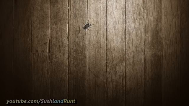 Cat Games on Screen : Catch the Spider - Video for Cats смотреть онлайн