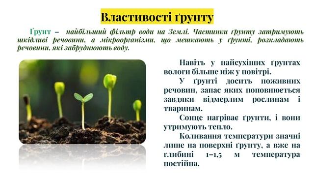 STEM-проєкт “Живий папір”