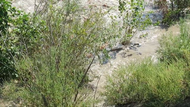 Место впадения горной реки в море смотреть онлайн