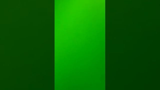 Polskie ryby смотреть онлайн