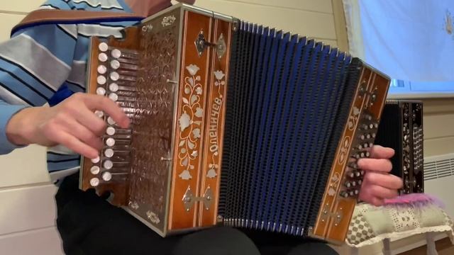 Дядя Слава дал жизни? Гармонь мастера Оленичева А.А. смотреть онлайн