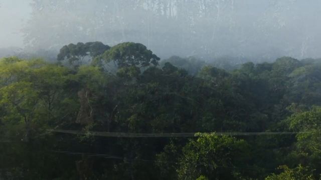 Instant Calm, Beautiful Relaxing Sleep Music, Dream Music (Nature Energy Healing, Quiet Mountains) смотреть онлайн