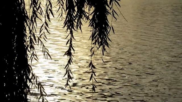 Воображение и контроль эмоций! Музыка для йоги и медитации! смотреть онлайн