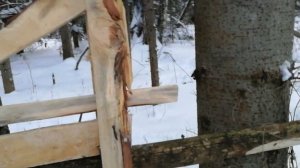 проскок на соболя