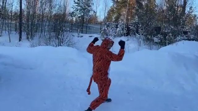Новогодние тигры 2022 ! Тигроколесо. смотреть онлайн