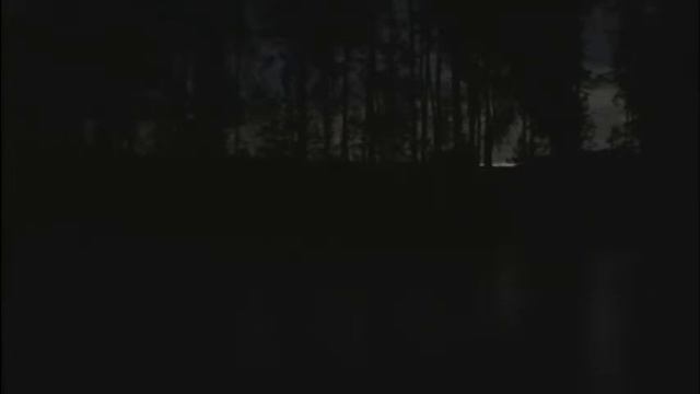 Видео для сна, ночной лес. Пение птиц! Релакс! От бессоницы. смотреть онлайн