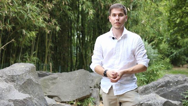 Европа загнивает! смотреть онлайн