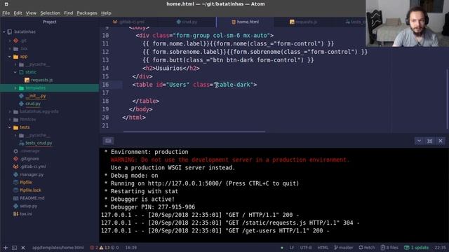 Minha primeira aplicação com flask смотреть онлайн
