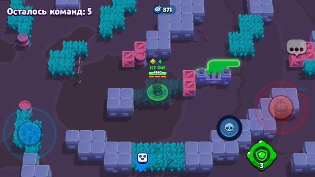 КРАСНЫЙ ВОРОН)