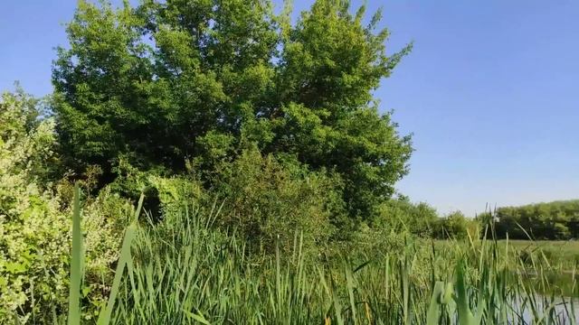 Купили дом в деревне/Разочарование,всё напрасно/Бросили ремонт и уехали/Первая ночь в палатке смотреть онлайн