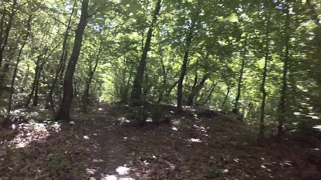 Mountain biking Medvednica, Zagreb, Croatia смотреть онлайн