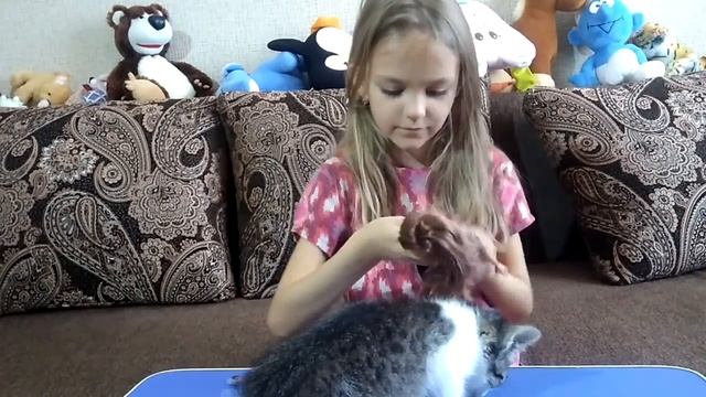 Моя новая ШАРНИРНАЯ КУКЛА БАРБИ и КОТЕНОК МУРЗИК.Обзор на куклу!Голодный котенок смотреть онлайн