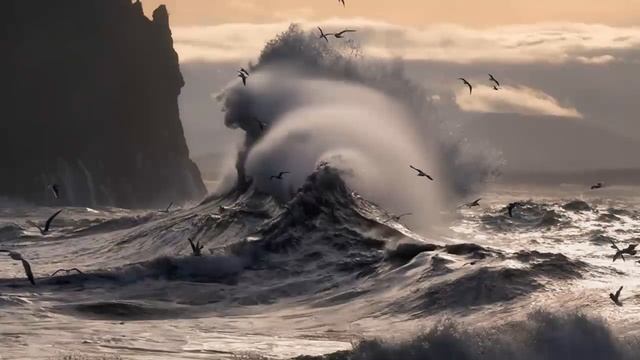 Шествие под прикрытием молитвы. Преподобный Варсонофий Оптинский. смотреть онлайн