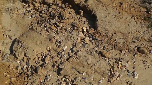 ПРОГУЛКА ПО БЕРЕГУ ОКИ, ПОИСК ОКАМЕНЕЛОСТЕЙ смотреть онлайн