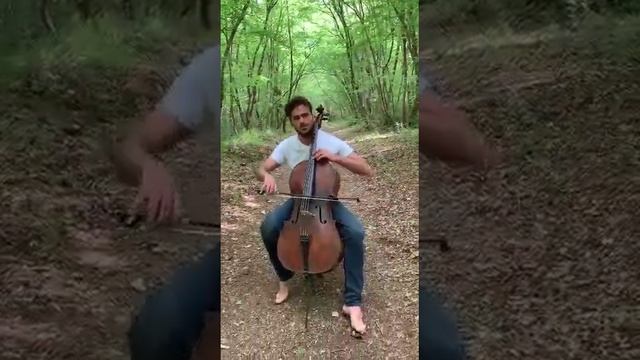 Степан Хаузер (Stjepan Hauser). Хорватский виолончелист